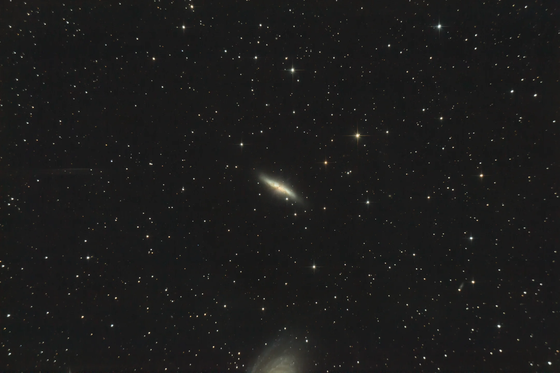 Cigar Galaxy