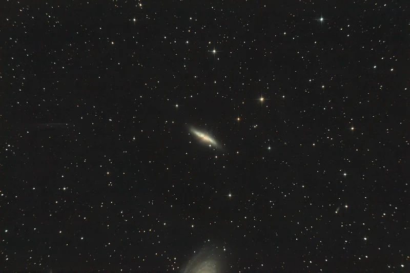 Cigar Galaxy