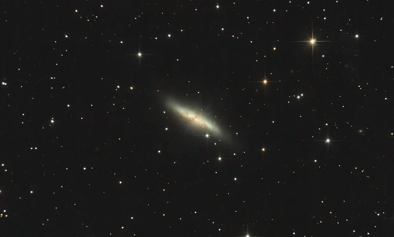 Cigar Galaxy