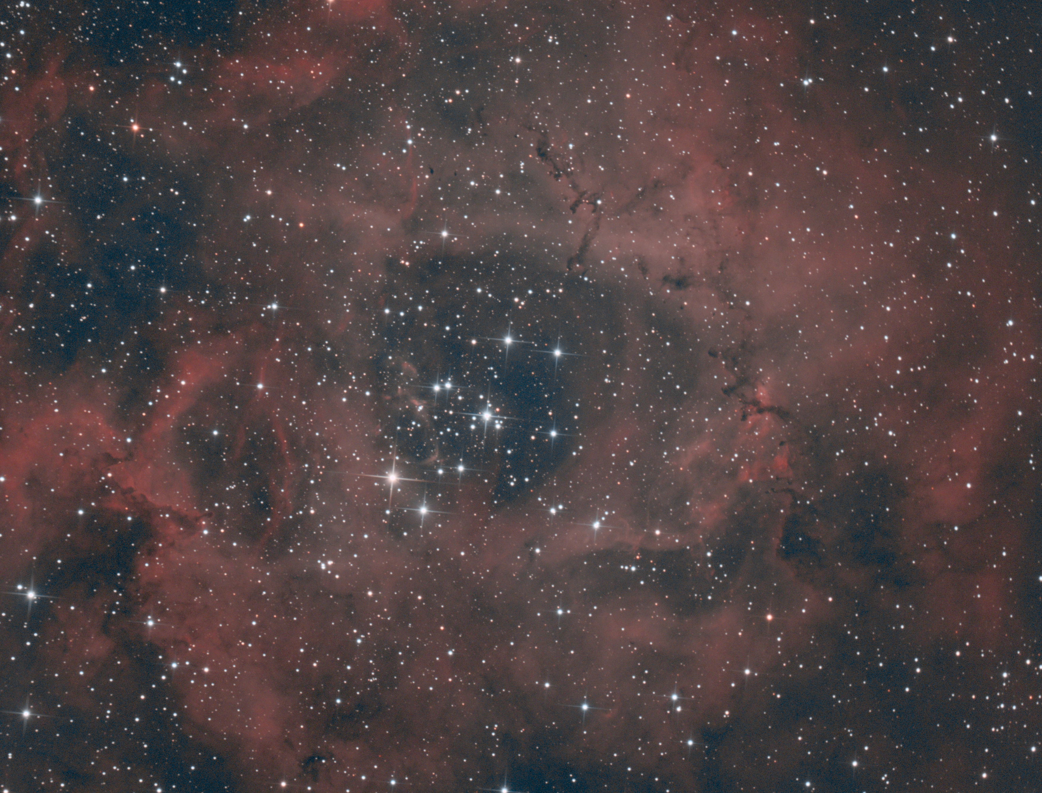 Rosette Nebula