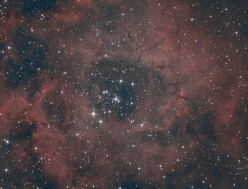 Rosette Nebula