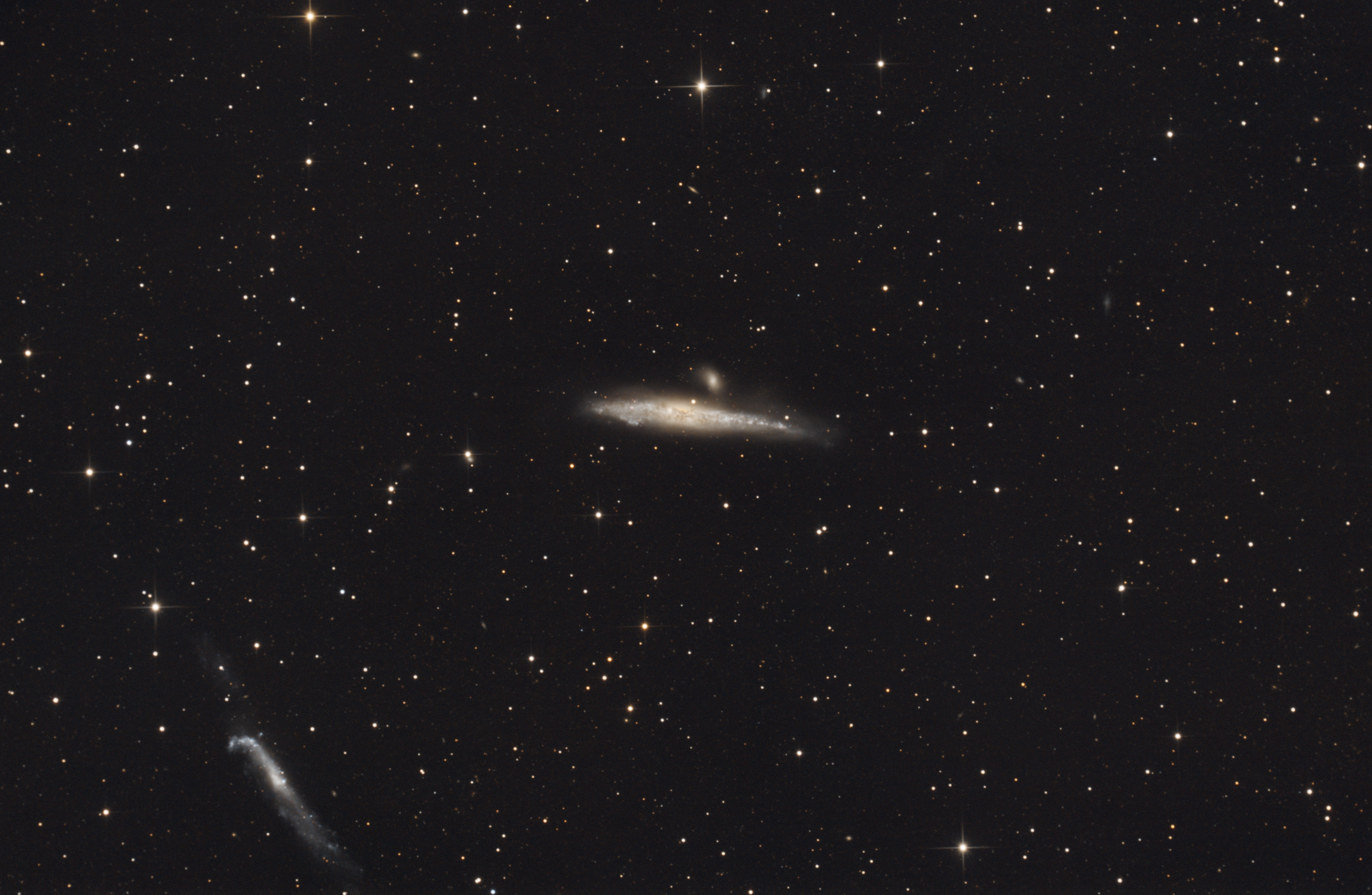 Whale Galaxy