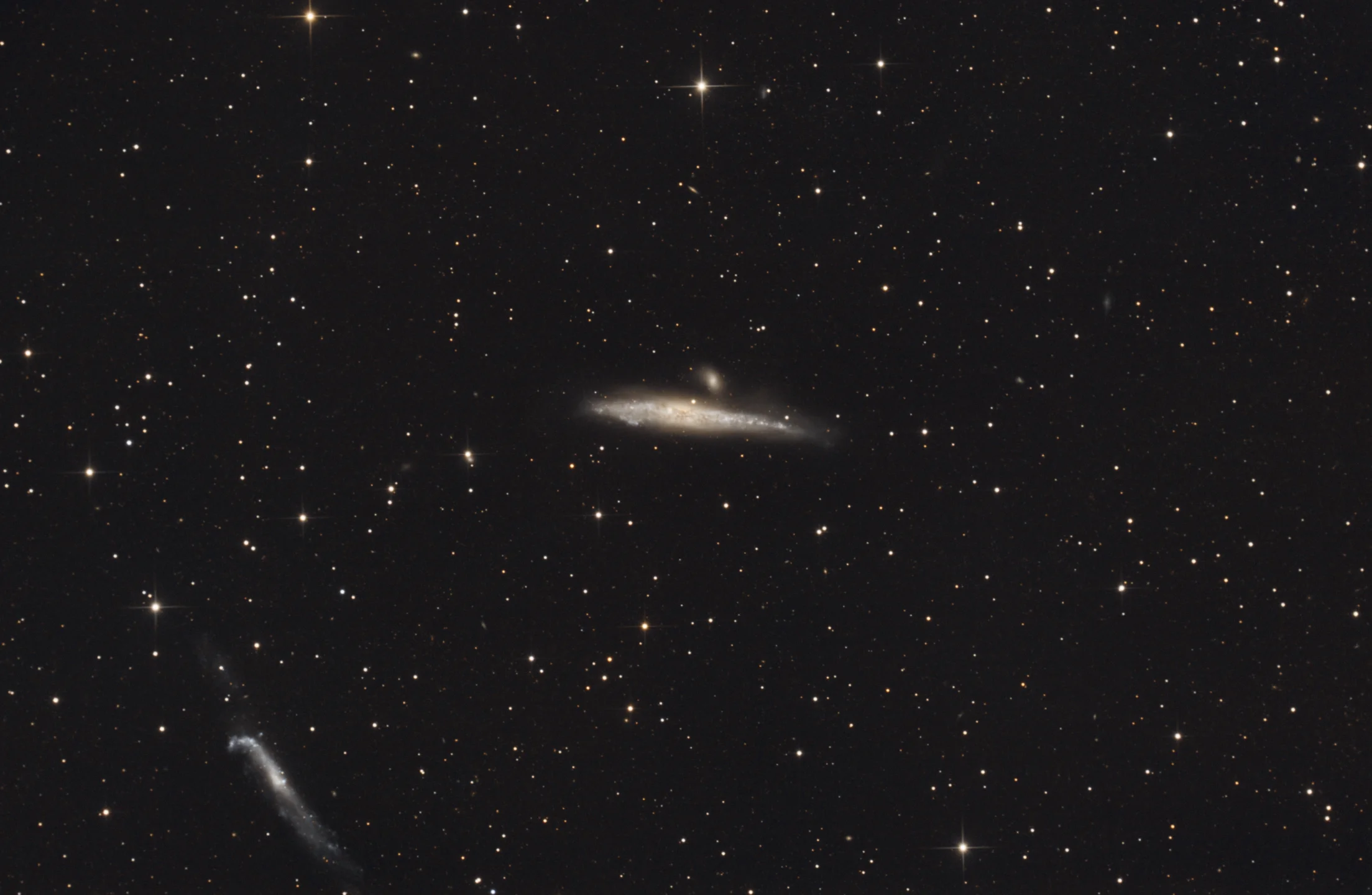 Whale Galaxy