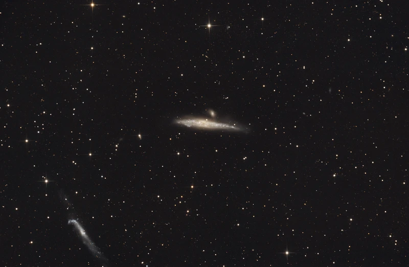 Whale Galaxy