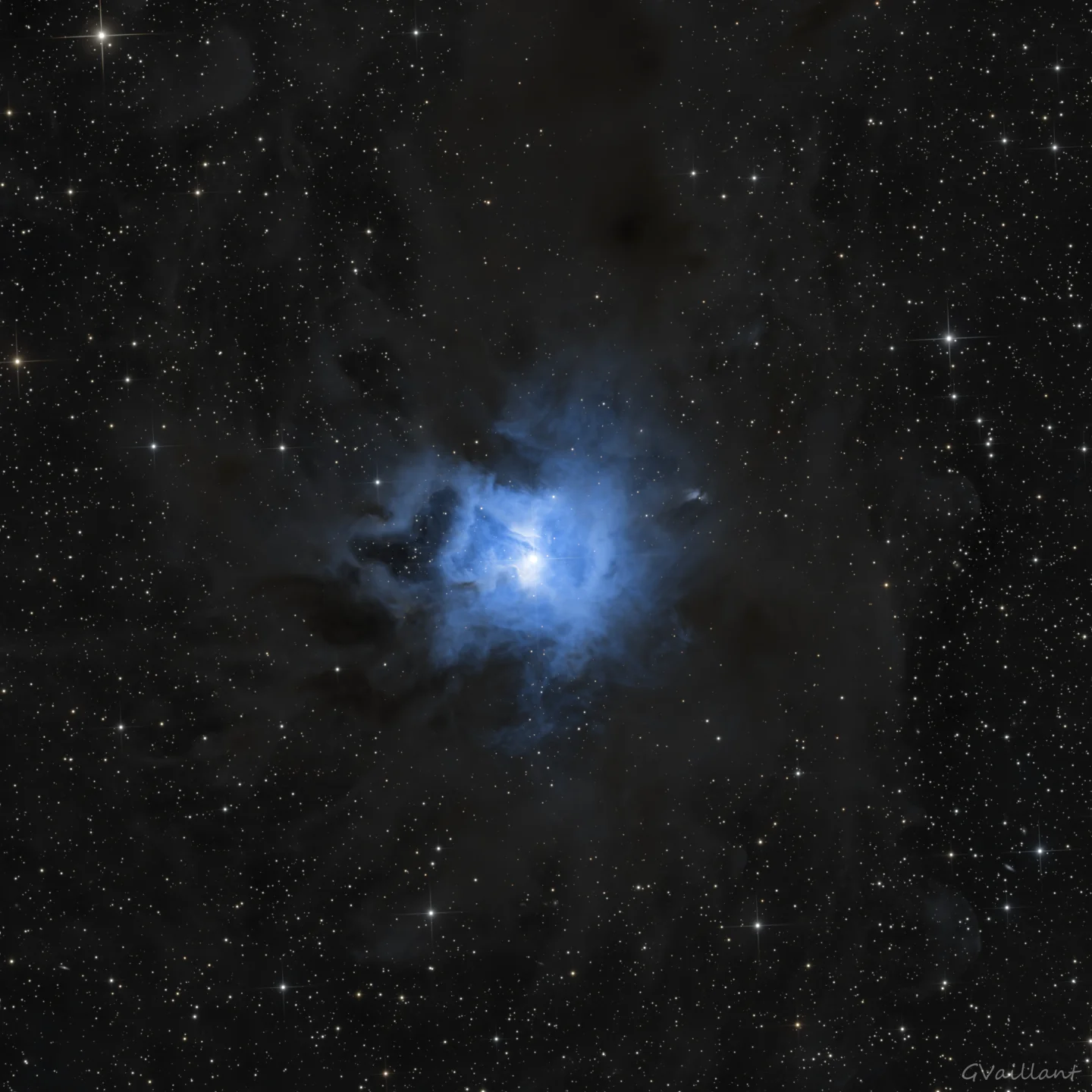 Iris Nebula